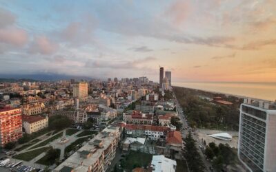 IWO continues work in Georgia